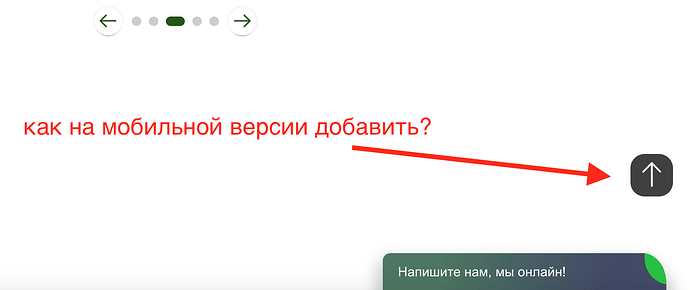 Снимок экрана 2025-09-10 в 10.49.59